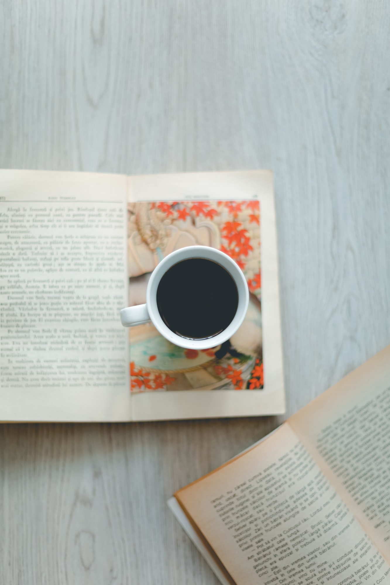 vintage-photo-of-coffee-and-books.jpg vintage-photo-of-coffee-and-books.jpg